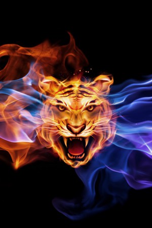 the eye of the tiger